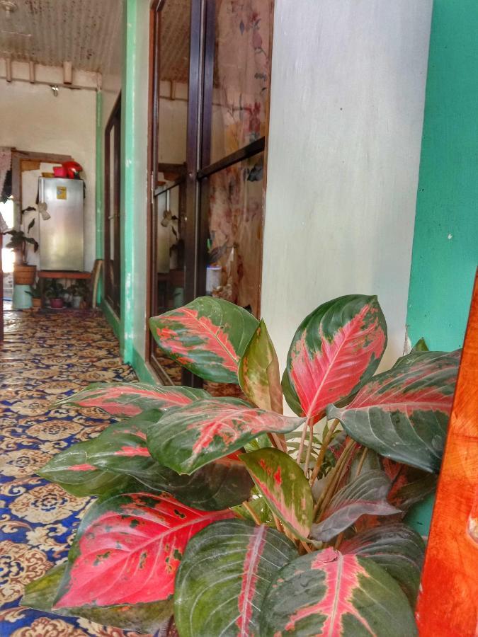 Abba Homestay General Luna (Surigao del Norte) Exterior foto